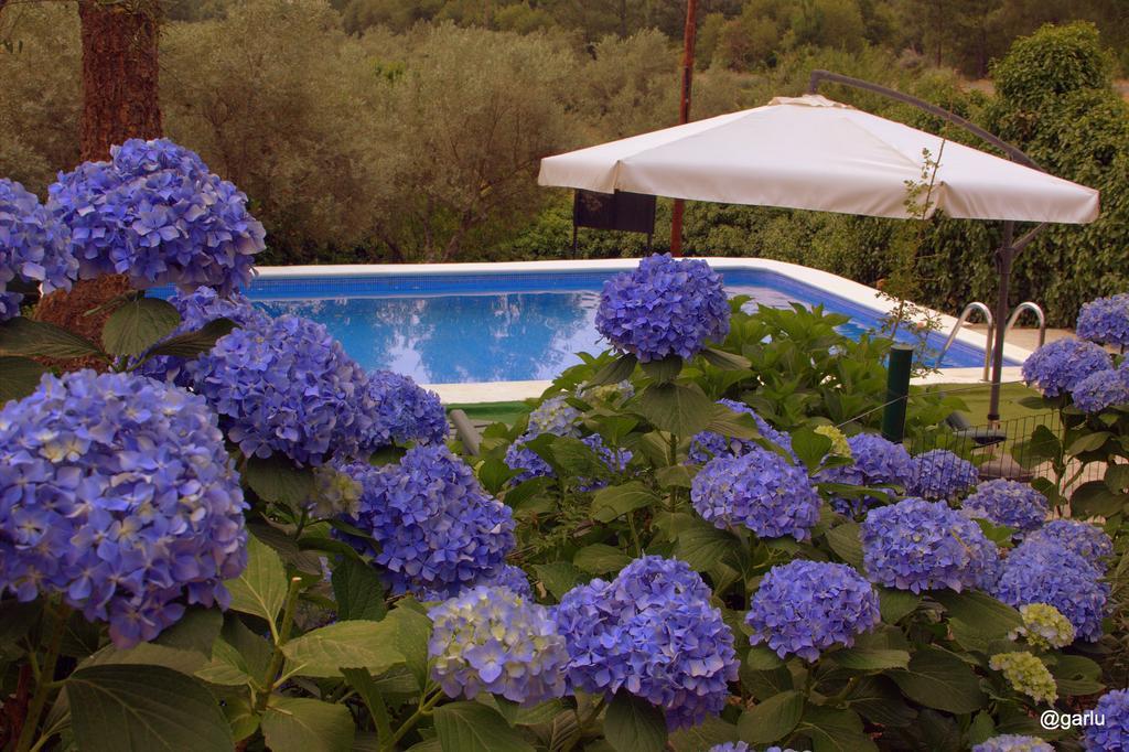 Casa Rural El Pilar Acebo Eksteriør billede