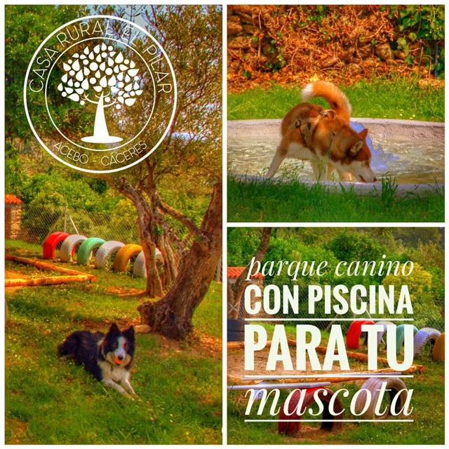 Casa Rural El Pilar Acebo Eksteriør billede