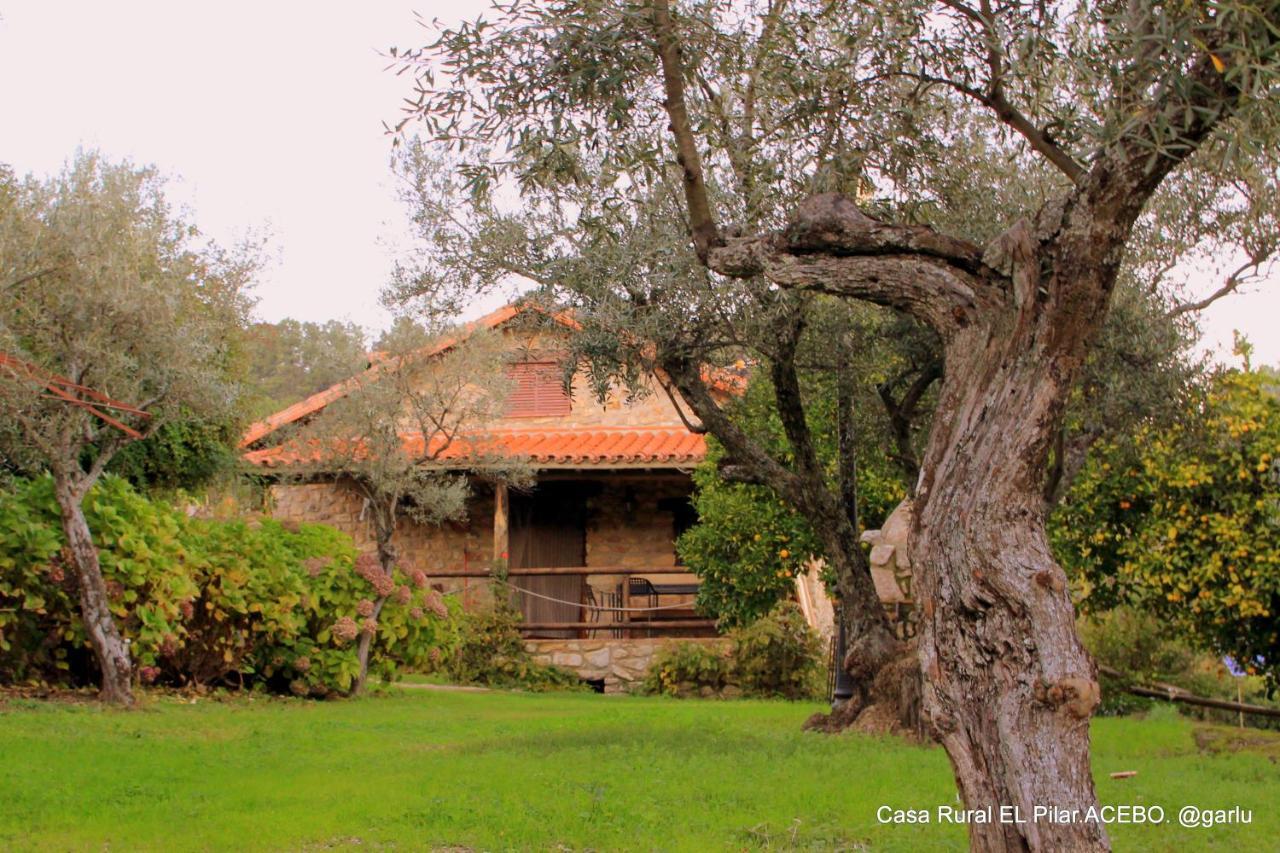 Casa Rural El Pilar Acebo Eksteriør billede
