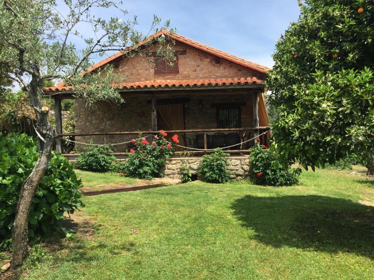 Casa Rural El Pilar Acebo Eksteriør billede